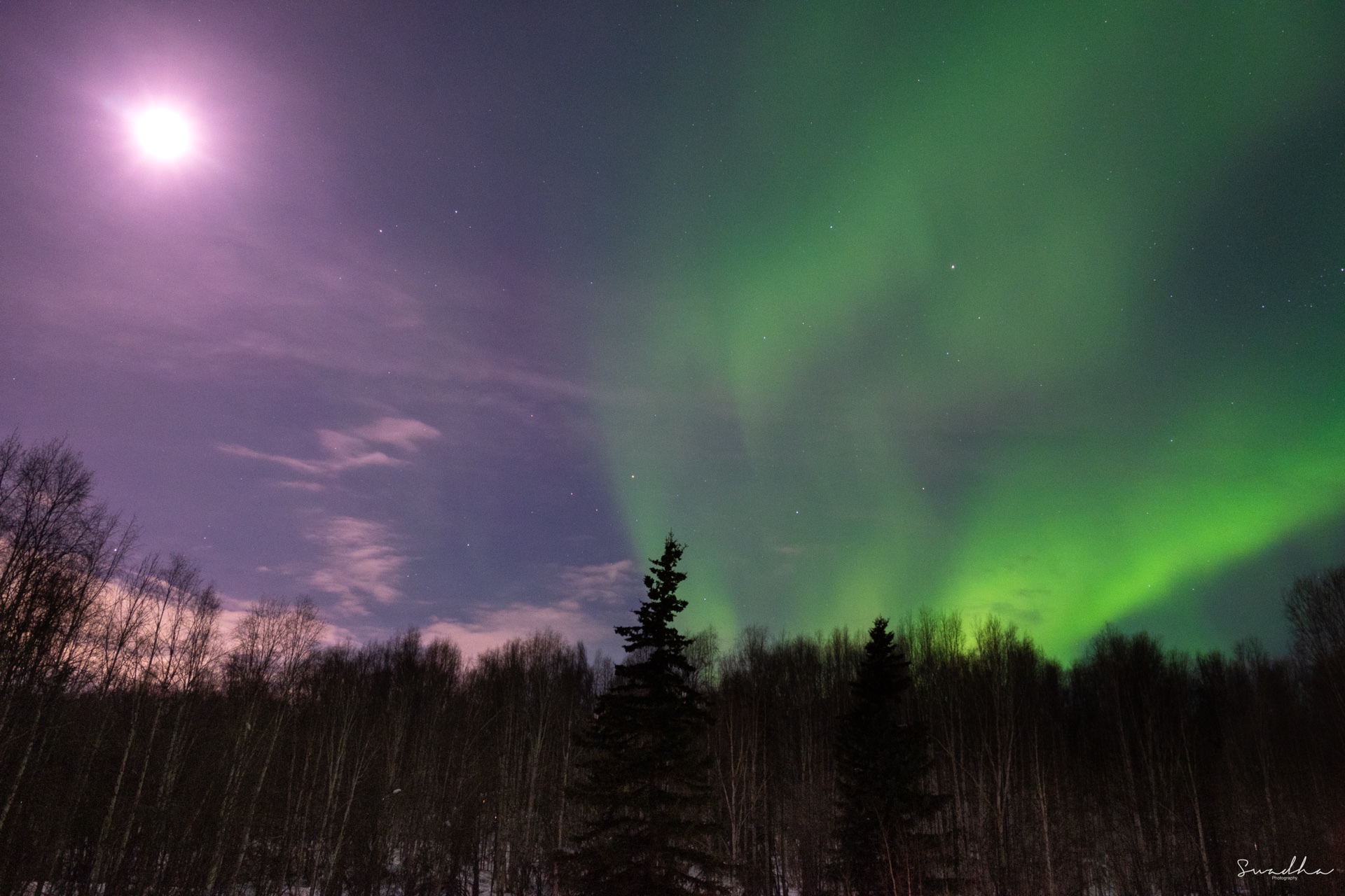 Alaska Itinerary: 5 Days in the Last Frontier